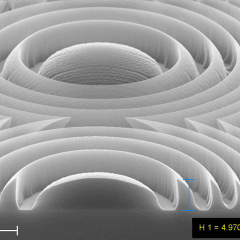 SEM image of a 3D-Fresnel lense array