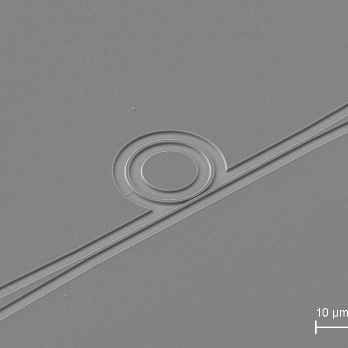 SEM image of a photonic device of waveguide and couple