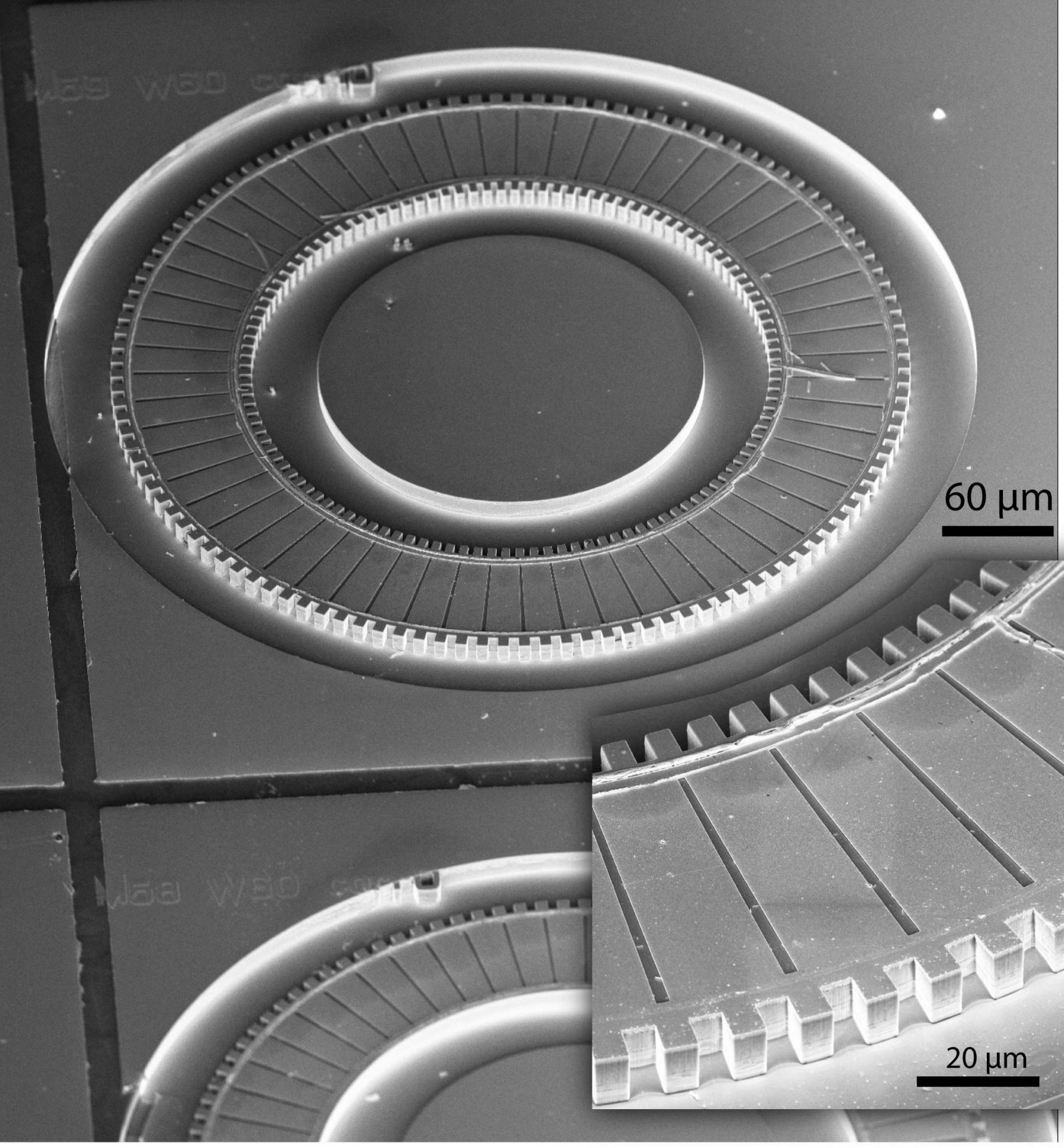 SEM image of a mid-infrared ring laser cavities with grating feedback structure for Optoelectronics