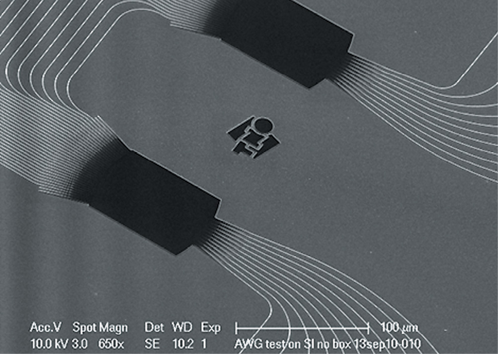 SEM picture of a several mm long arrayed waveguide