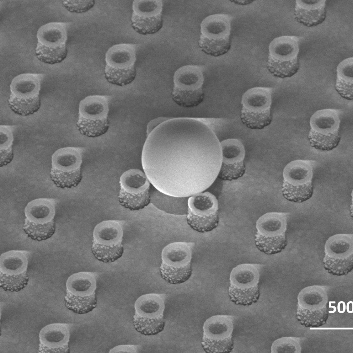 SEM image showing a single gold ball in a nanoring array