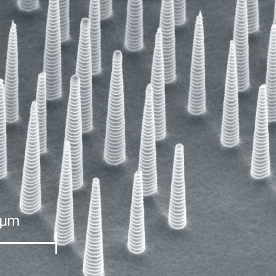 SEM image of nanopillars