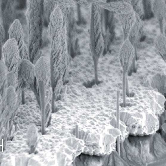 SEM image showing studies for nanowire-based thermoelectric generators