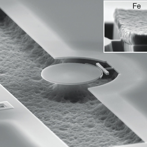 SEM image of a magneto-optomechanical torque sensor