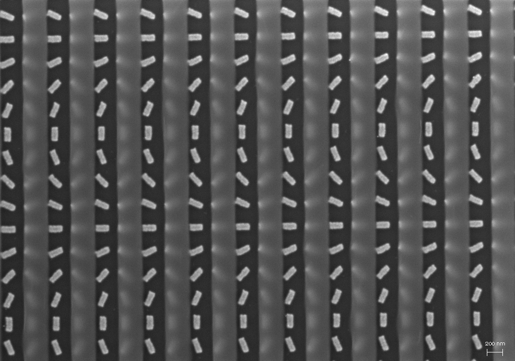 SEM image of metasurfaces with PMMA