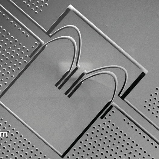SEM image showing Freeform geometries in a MEMS accelerometer with a mechanical motion preamplifier based on a genetic algorithm