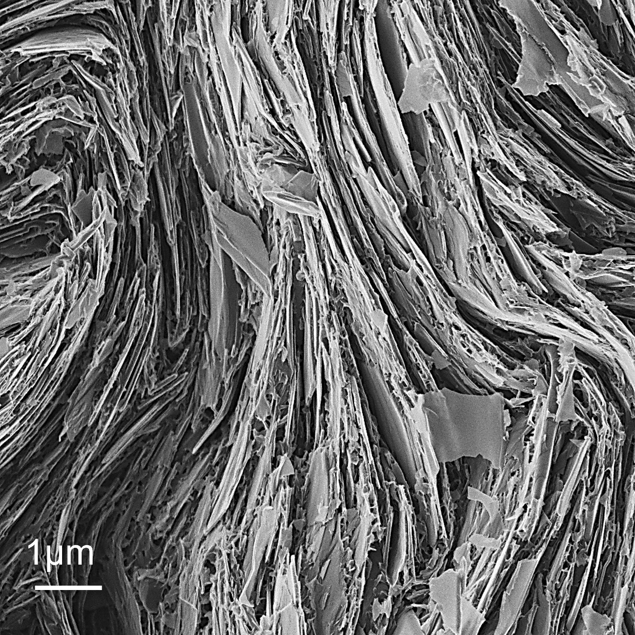 Lithium ion image of grafite