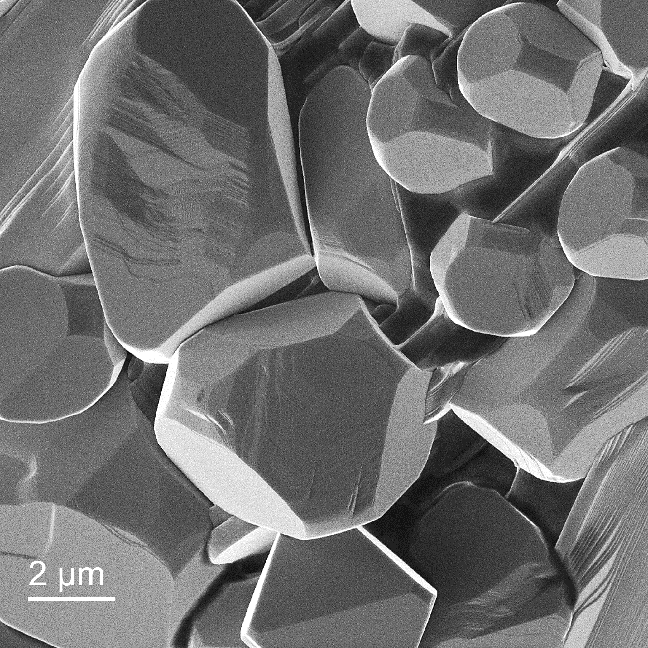 Lithium Ion Image of Bi2Ca2Co compound
