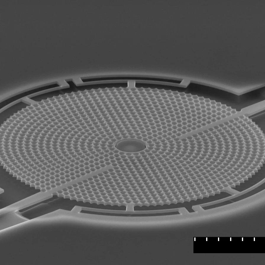 SEM image of a microdisk resonator