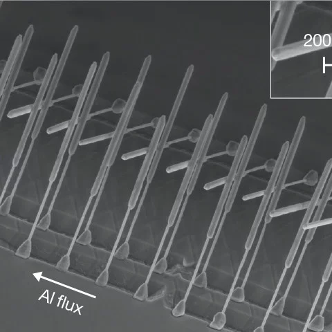SEM image showing shadow-grown superconducting islands on InSb nanowire
