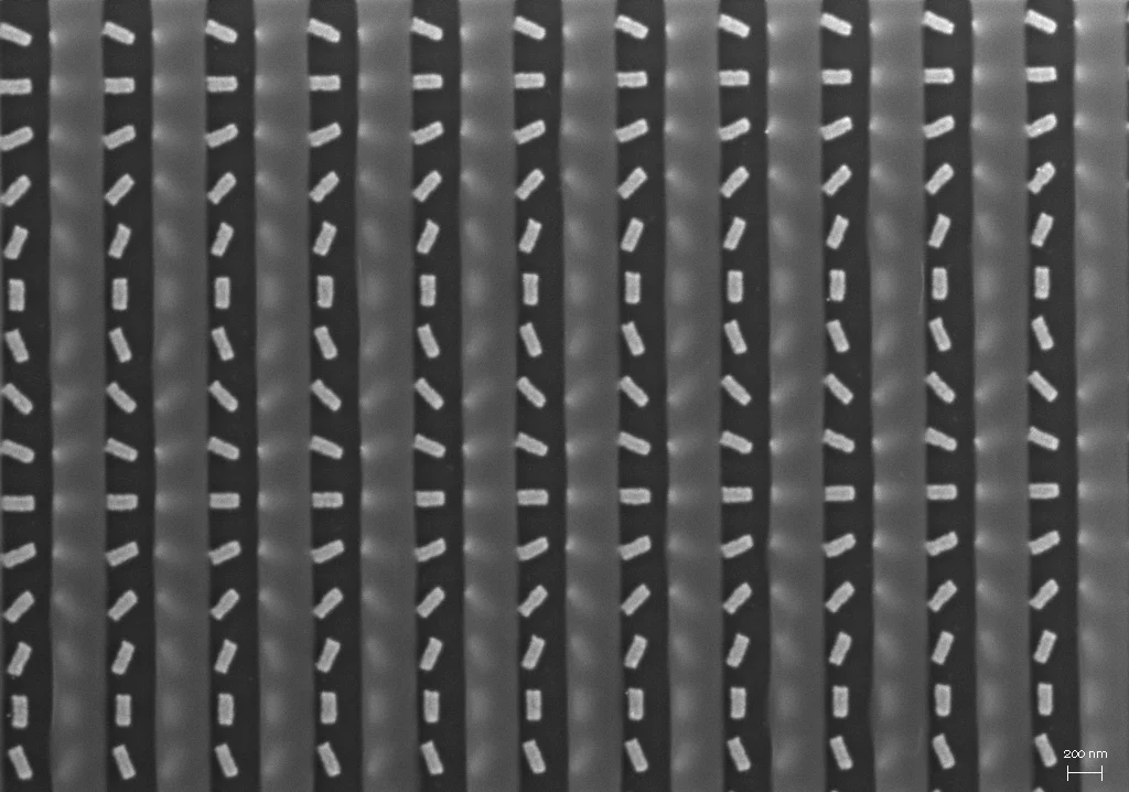SEM image of metasurfaces with PMMA
