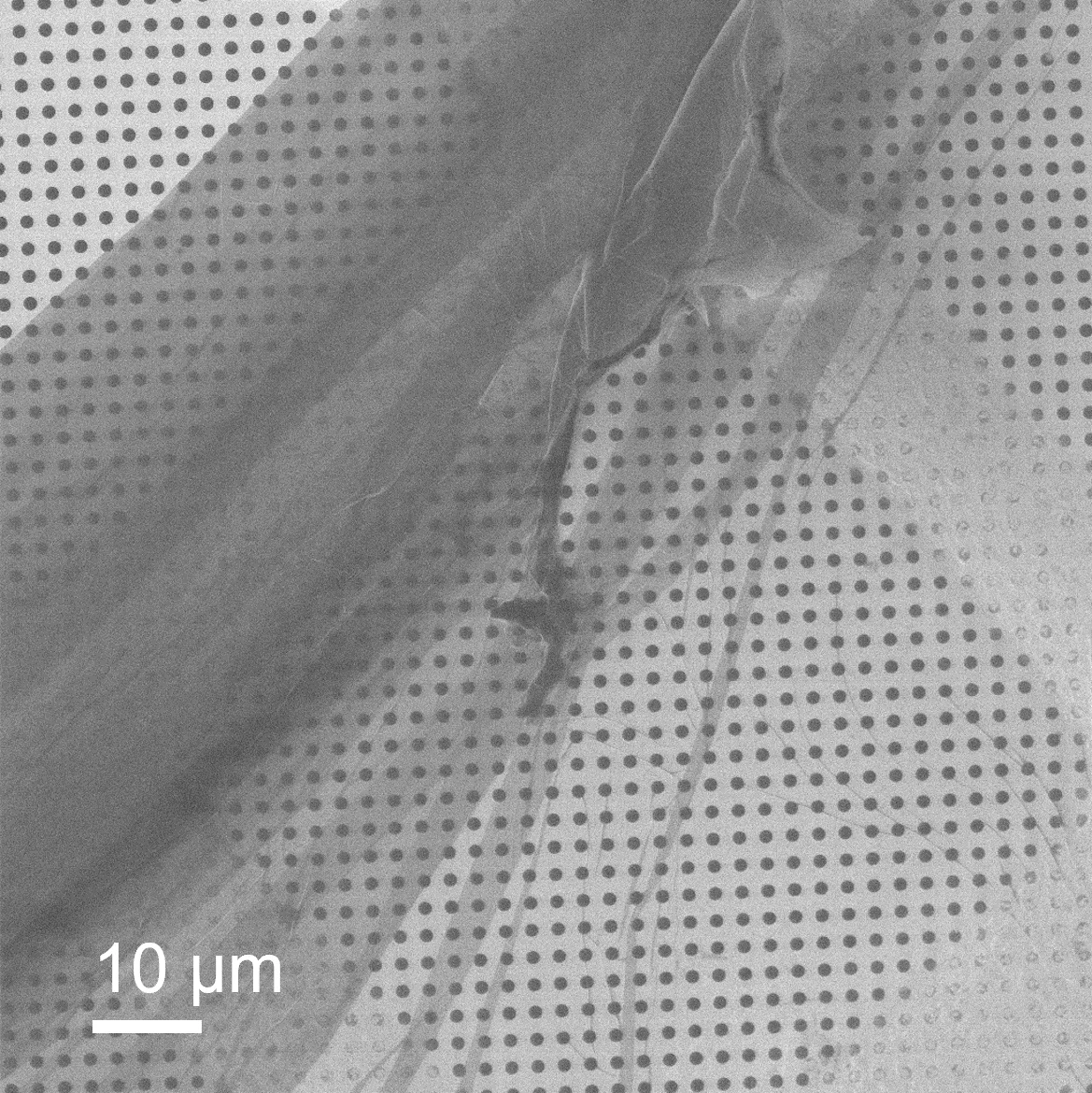 Ion microscopy image of a Carbon Nano Membrane