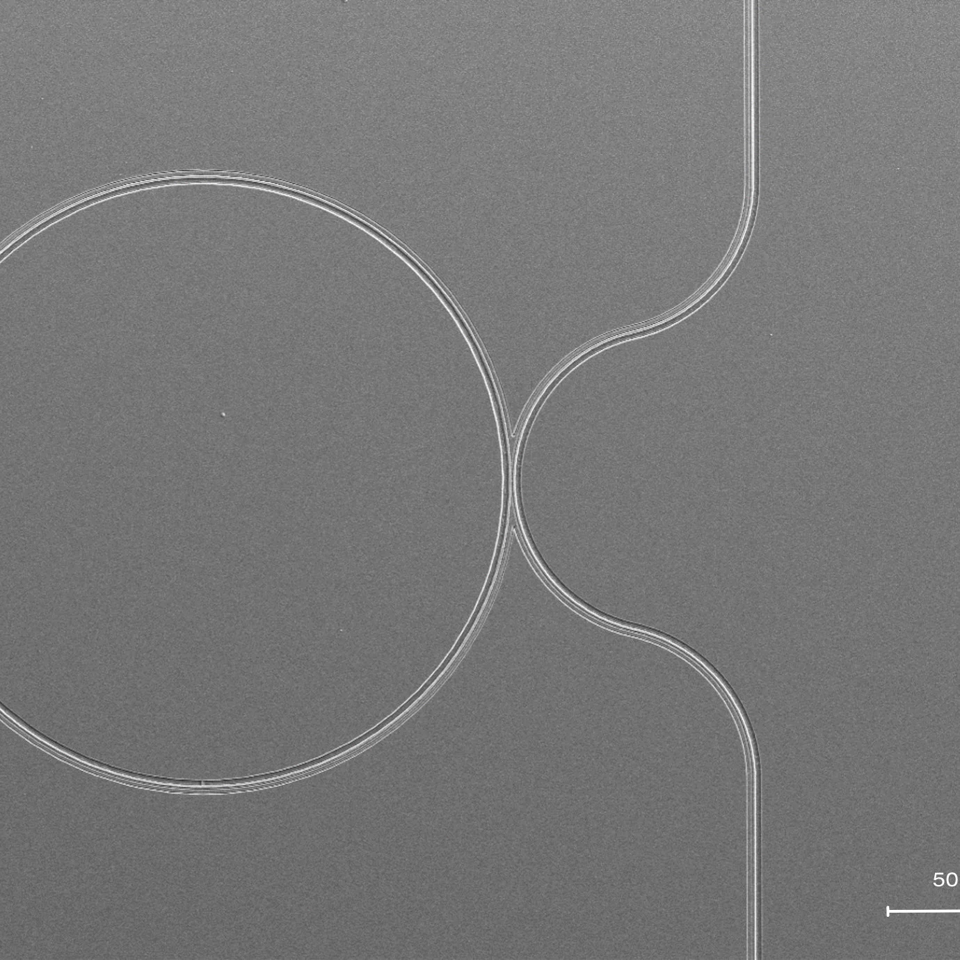 SEM image of an optical resonator manufactured with laser beam lithography
